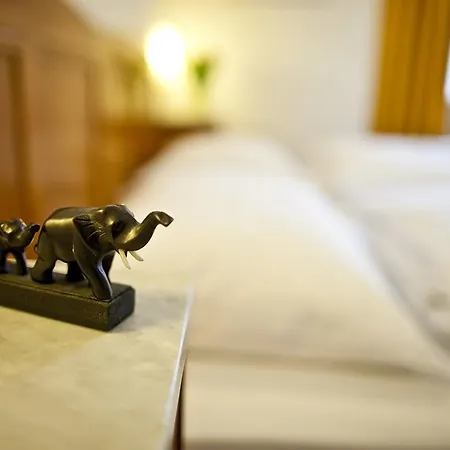 Hotel Elefant Ora / Auer